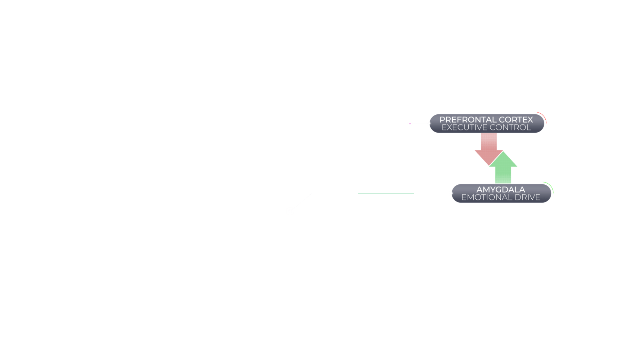 Information