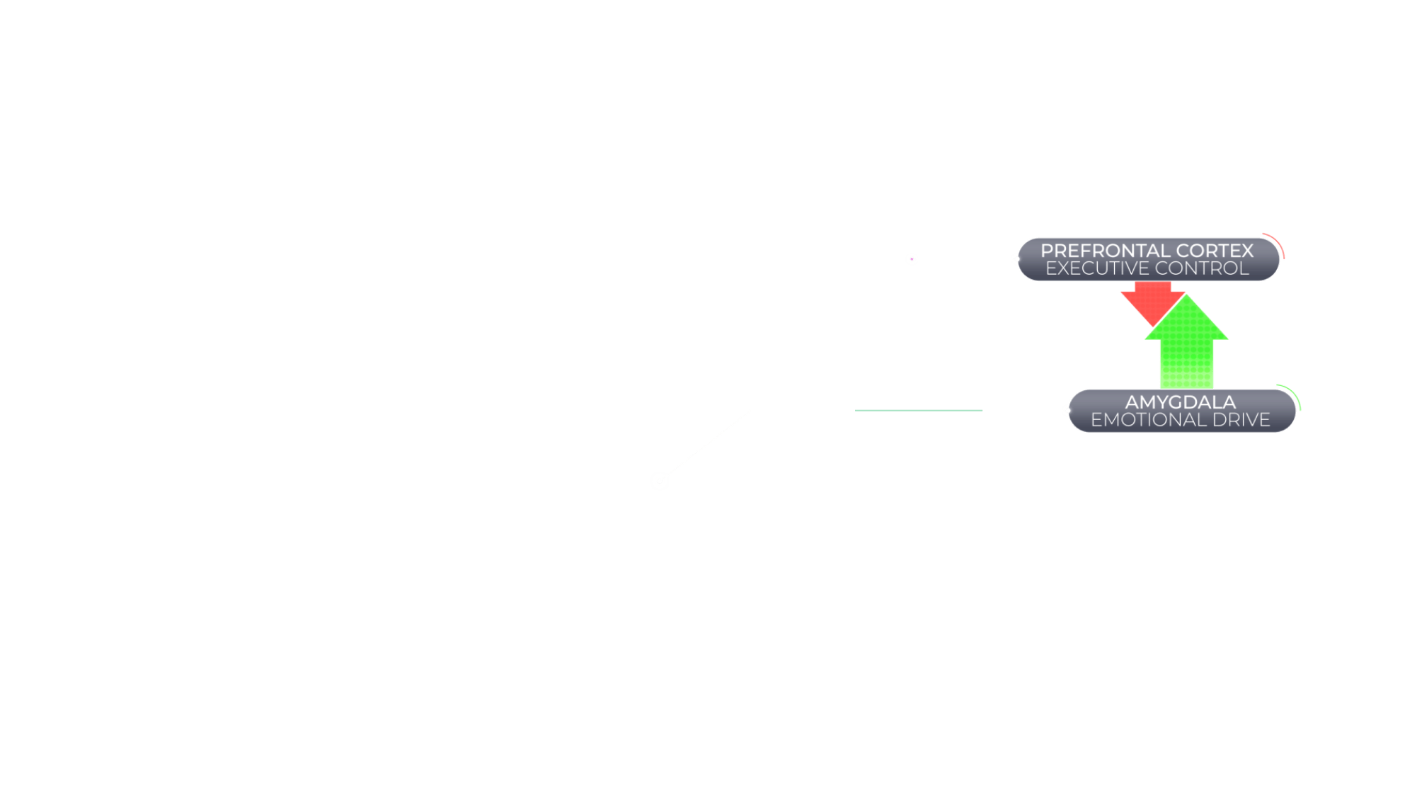 Information
