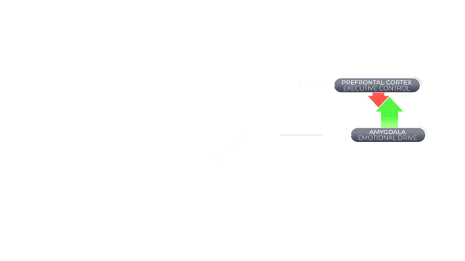 Information